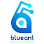 Blueant Solutions