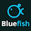 Bluefish