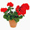 El vivero diseño